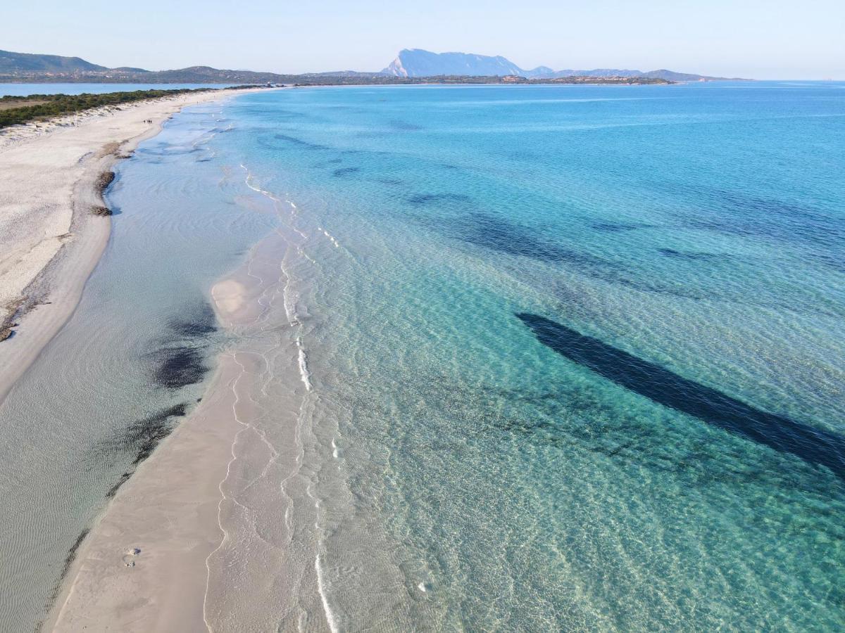Iss Travel, Citai Panoramic Apartments - 1,5 Km From The Beach San Teodoro  Εξωτερικό φωτογραφία